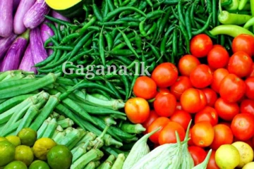 හිටිහැටියේම එළවළු මිලත් වෙනස් වෙයි.. මිල සටහන් වුණේ මෙන්න මෙහෙමයි..