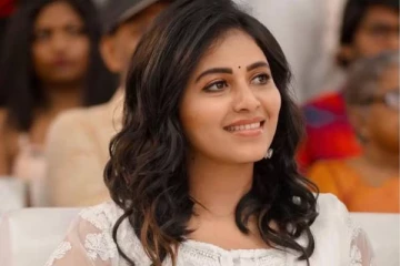 தொழிலதிபர் உடன் திருமணம், அமெரிக்காவில் செட்டில் .. நடிகை அஞ்சலி ஓபன் டாக்