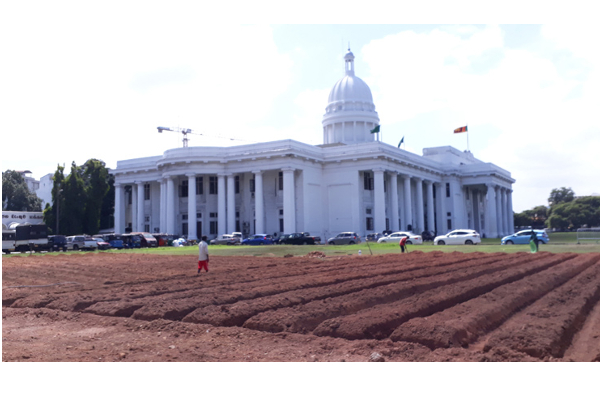 கொழும்பு மாநகர சபை வளாகத்தில் தோட்டப் பயிர்ச் செய்கை | Gardening In Colombo Municipal Council Premises