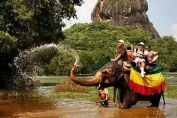 මෙහෙම ගියොත් ලංකාවේ අපි හැමෝම ගොඩ - මුළු ලංකාවටම සුබ ආරංචියක් එක්ක ආදායමක් විශාල ලෙස ඉහළට