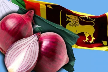 பாகிஸ்தானிலிருந்து மீண்டும் பெரிய வெங்காயம் இறக்குமதி: வெளியான அறிவிப்பு