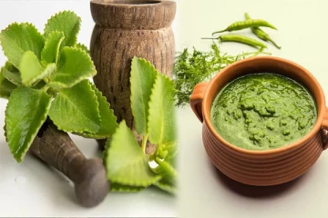 ஏராளமான நன்மைகளை அள்ளிக் கொடுக்கும் கற்பூரவள்ளி சட்னி!