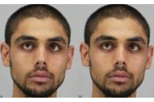 afghan man trial in germany who stab children