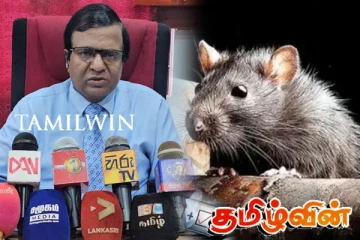 கால்நடைகளால் எலிக்காய்ச்சல் பரவுகின்றதா! ஆய்வு செய்ய கொழும்பில் இருந்து விசேட குழு