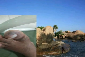 பாசிக்குடா கடற்கரைக்கு செல்பவர்களுக்கு ஓர் எச்சரிக்கை தகவல்!