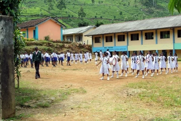 திருகோணமலையில் குளவிகொட்டு சம்பவம் : 37 மாணவர்கள் வைத்தியசாலையில் அனுமதி