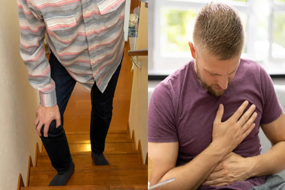 கெட்ட கொழுப்பை விரட்டியடிக்கும் உணவுகள் | Foods That Reduce Bad Cholesterol கெட்ட கொழுப்பை விரட்டியடிக்கும் உணவுகள் | Foods That Reduce Bad Cholesterol