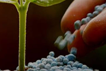 රසායනික සහ කාබනික පොහොර ගැන රජය ගත් අලුත්ම තීරණය..!