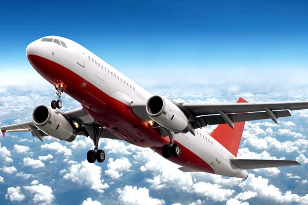 விசேட விமானத்தில் நாடுகடத்தப்பட்ட 41 இலங்கையர்கள் - ஐபிசி தமிழ்