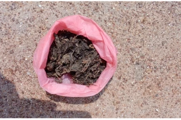 வேலணை சந்தியில் கஞ்சாவுடன் ஒருவர் கைது (Photo)