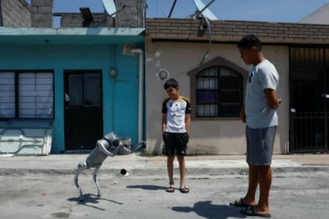 மெக்சிகோ தெருக்களில் ரோபோ நாய் மக்களுக்கு விழிப்புணர்வு