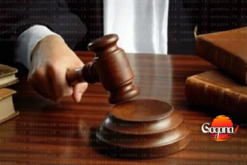 හිටපු ඇමති අර්ජුනට සහ ධම්මිකට එරෙහිව අධි චෝදනා