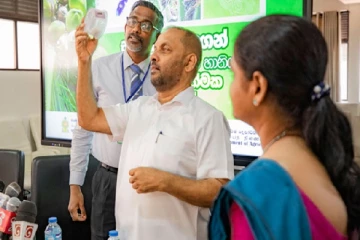 தென்னையை அச்சுறுத்தும் வெள்ளை ஈ - கிடைத்தது தீர்வு