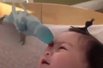 குழந்தையுடன் கொஞ்சி கொஞ்சி விளையாடும் பச்சை கிளி.... எத்தனை முறை பார்த்தாலும் சலிக்காது!