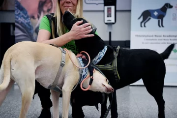 மூட்டை பூச்சிகளை பிடிக்க மோப்ப நாய்களை களமிறக்கும் பிரான்ஸ்!