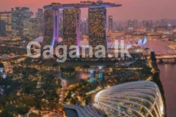 සිංගප්පූරු රජය කාර්යසාධනය අතින් පෙරමුණට...