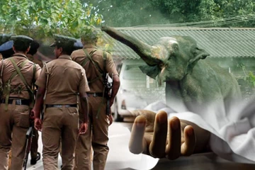 திருகோணமலையில் யானை தாக்கி வயோதிபர் பலி