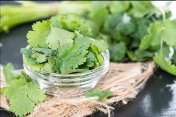 சர்க்கரை நோயை கட்டுக்குள் வைக்க கொத்தமல்லியை இப்படி பயன்படுத்தினாலே போதும்! அசரவைக்கும் நன்மைகள்