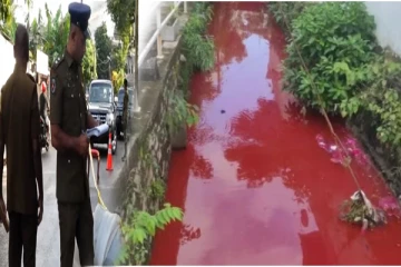 தெஹிவளையில் சிவப்பு நிறமாக மாறிய கால்வாய் : வெளியான தகவல்