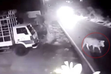 குறுக்கே பாய்ந்த மாடு! கோர விபத்தில் சிக்கி இருவர் பலி