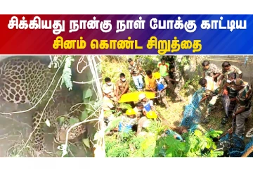சிக்கியது நான்கு நாள் போக்கு காட்டிய சினம் கொண்ட சிறுத்தை!