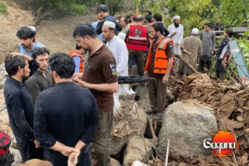 පාකිස්ථානයේ ගුවන් යානා අනතුරකින් 5 දෙනෙකු ජීවිතක්ෂයට