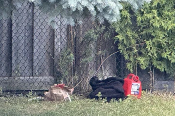 கனடாவில் தீ விபத்தில் 11 வயது சிறுமி பலி:கொலையா என விசாரணை