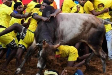 மாடுபிடி வீரருக்கு கார் பரிசா? - இயக்குநர் தங்கர் பச்சானின் மாற்று யோசனை