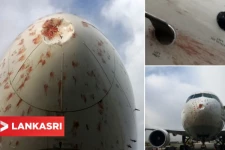 புறப்பட்ட சிறிது நேரத்திலே முன் பகுதி முழுவதும் ரத்த கரையுடன் தரையிறங்கிய விமானம்! நடுவானில் நடந்த சம்பவம்