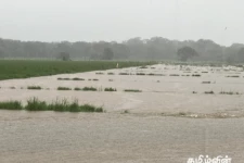 வவுனியா மாவட்டத்தில் கடும் மழை! இயல்பு வாழ்க்கை பாதிப்பு