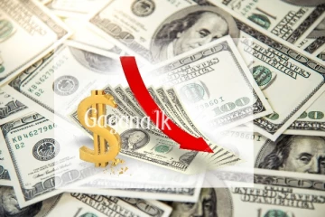 යළි ඩොලරය 200 ගානට බසී..අද සටහන් වූ නව මිල ගණන් මෙන්න.