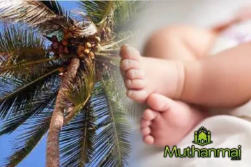 தேங்காய் விழுந்து இரண்டு வயது குழந்தை உயிரிழப்பு