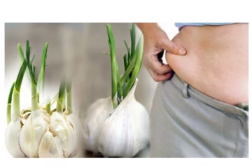 முளையிட்ட பூண்டை தினமும் சாப்பிட்டு வந்தால் உடலில் ஏற்படும் மாற்றத்தை பாருங்க....