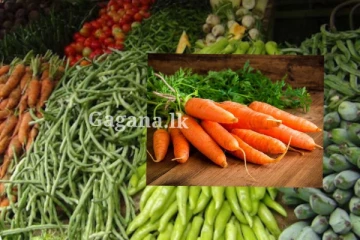 කැරට් නැග්ග නැගිල්ල.. උහුලන්න බැරි රස්නෙම.. එළවලු මිලට වුණ දෙය මෙන්න..