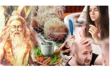 தலையில் 6 நாட்களில் முடி வளர வைக்கும் அற்புதக்காய் - சித்தர்கள் கண்டறிந்த மருத்துவம்