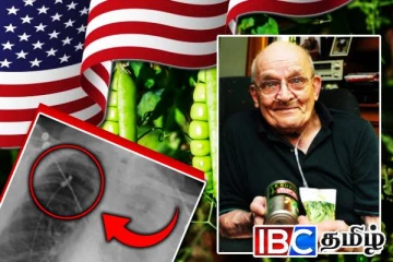 நுரையீரலில் பட்டாணிச் செடி! அமெரிக்காவில் விசித்திர சம்பவம்