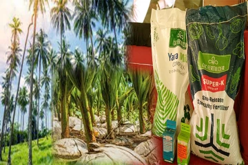 கிளிநொச்சியில் வடக்கு தென்னை முக்கோண வலயத்தை உருவாக்குவதன் அங்குரார்ப்பண நிகழ்வு