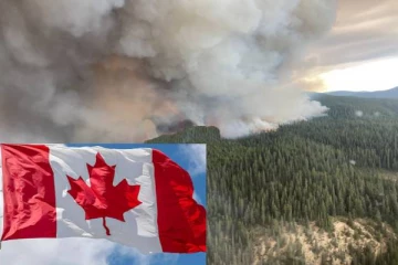கனடாவில் காட்டுத் தீ தொடர்பில் வெளியான அதிர்ச்சி தகவல்!