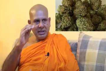 உடலிற்கு வலிமையை தரும் கஞ்சாவை சட்டமாக்குங்கள் : அரசிடம் தேரர் வலியுறுத்து