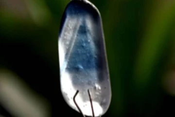 அரிய வகை நீலநிற மாணிக்கக்கல் ஒன்றை கண்டுபிடித்த வர்த்தகர்!