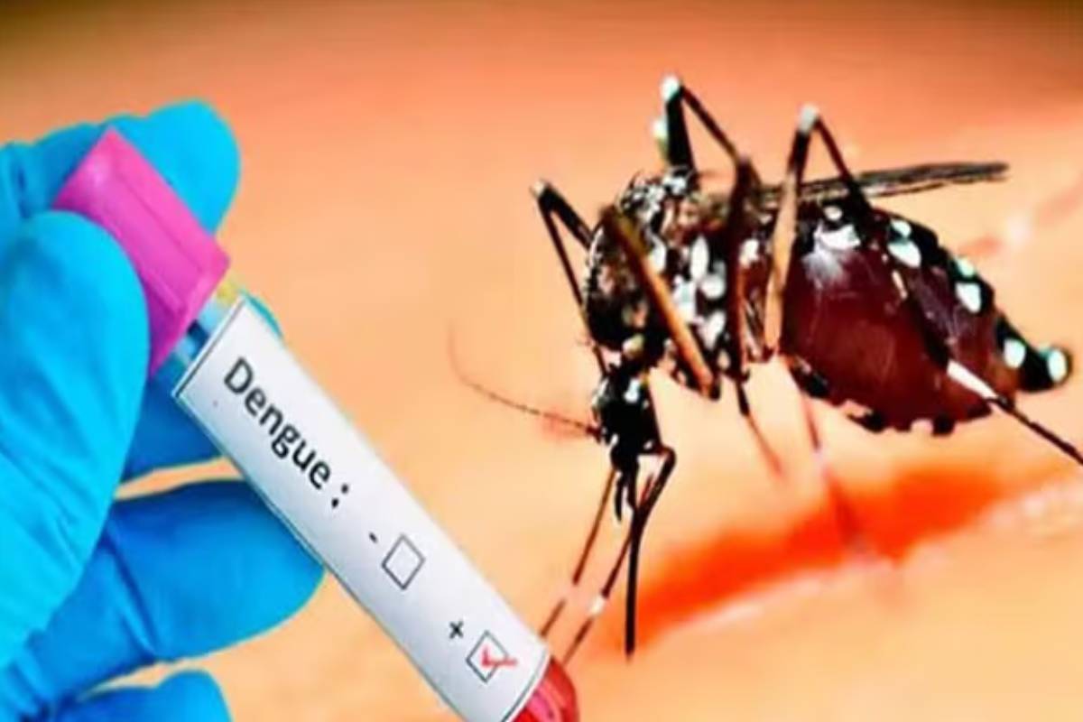 நாட்டில் டெங்கு மரணங்களின் எண்ணிக்கை 75 ஆக உயர்வு | Number Of Dengue Deaths Rises To 75