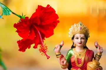 பணவசியம் உண்டாக்கும் செம்பருத்தி பூ ரகசியம்.. ஒரு வாரத்தில் மாற்றத்தை காணலாம்