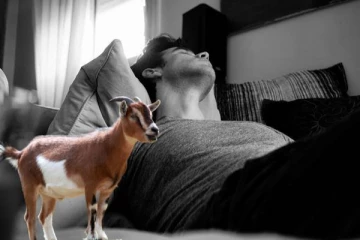 ஆட்டை வெட்டுவதாக நினைத்து தன் பிறப்புறுப்பை வெட்டிக்கொண்ட நபர்! அதிர்ச்சி சம்பவம்;