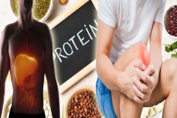 உடலில் புரதச்சத்து குறைந்தால் ஏற்படும் அறிகுறிகள் என்ன?