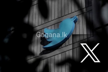 Twitter හි නිල් කුරුල්ලා ඉගිල යයි..සිදු වූ විශේෂ දේ මෙන්න..