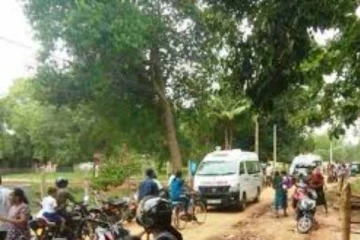 திருகோணமலையில் குளவி கொட்டுக்கு இலக்கான சிறுவன்