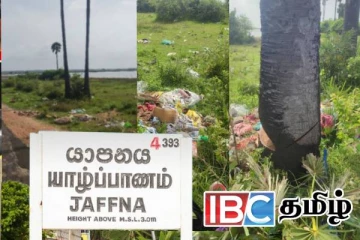 யாழ். அராலி வீதியோரத்தில் ஆபத்தான நிலையில் பனைமரம் - உயிர் அச்சத்தில் பயணிகள்