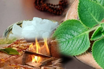 வாழ்க்கையின் வீழ்ச்சியை சரி செய்ய இந்த பரிகாரத்தை செய்யுங்கள்!
