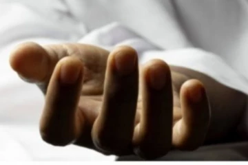 පොල් ඇහිදීමට ගිය පුද්ගලයෙක් අවාසනාවන්ත ඉරණමකට මුහුණ දෙයි..