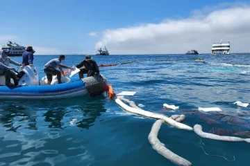 டீசல் படகு கடலில் கவிழ்ந்து விபத்து!